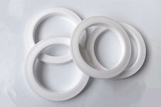 เปลี่ยนแปลงง่ายการติดตั้ง 80 NITRILE PTFE Hammer สหภาพลิปซีล