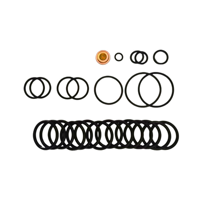 OEM/ODM มีให้บริการ ปั๊มสะพานไนทรีลฟลูออเรลลาสโตเมอร์ 10 BP3.SEC Adapter Kits สําหรับการแก้ไข