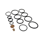 DWS 3 5/8 Compact Redress Kit Downhole Completion Rebuild Rubber Seal