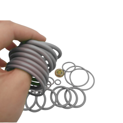 OEM/ODM มีให้บริการ ปั๊มสะพานไนทรีลฟลูออเรลลาสโตเมอร์ 10 BP3.SEC Adapter Kits สําหรับการแก้ไข