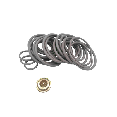 OEM/ODM มีให้บริการ ปั๊มสะพานไนทรีลฟลูออเรลลาสโตเมอร์ 10 BP3.SEC Adapter Kits สําหรับการแก้ไข