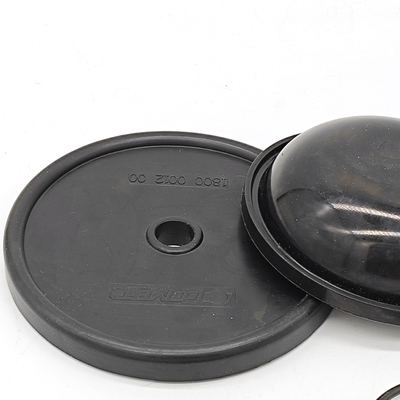 ชุด Diaphragm Blueflex สําหรับปั๊ม Ar30/40