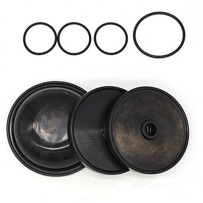 ชุด Diaphragm Blueflex สําหรับปั๊ม Ar30/40