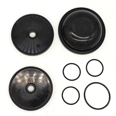 ชุด Diaphragm Blueflex สําหรับปั๊ม Ar30/40