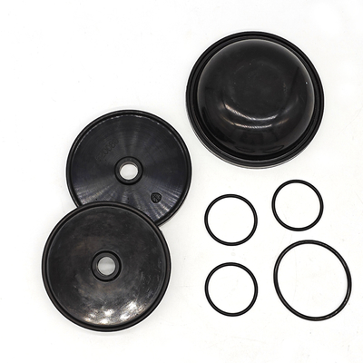 ชุด Diaphragm Blueflex สําหรับปั๊ม Ar30/40