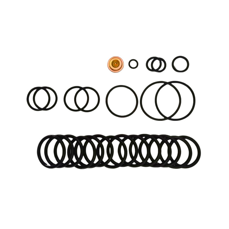OEM/ODM มีให้บริการ ปั๊มสะพานไนทรีลฟลูออเรลลาสโตเมอร์ 10 BP3.SEC Adapter Kits สําหรับการแก้ไข