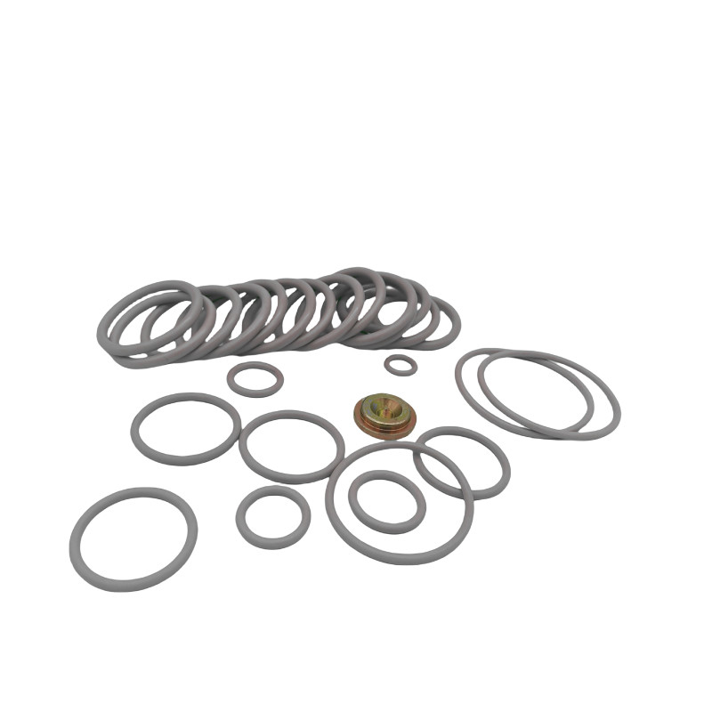 #10 BP3.SEC เครื่องปรับสายพานยาง O Ring Seal Kits สําหรับอุตสาหกรรมน้ํามันและก๊าซ