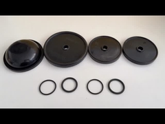 ปั๊ม diaphragm is a vital sealing part in ปั๊ม diaphragm and hydraulic accumulators, การประกันความประสิทธิภาพ